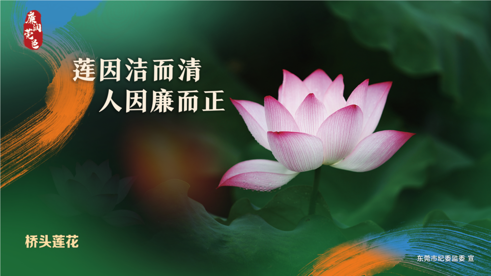 桥头莲花（标清版）.PNG